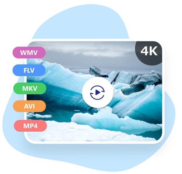 4K動画形式の間で変換