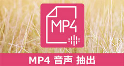 MP4 音声 抽出