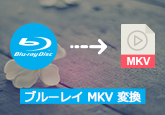 ブルーレイ動画をMKVに変換