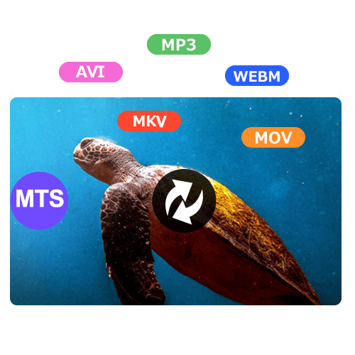 MTS 変換 Mac