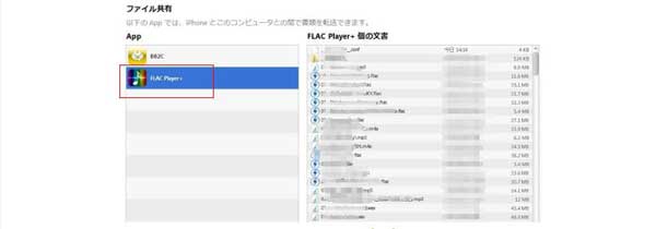 アプリFLAC Player+