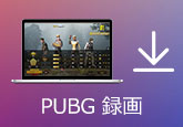 PUBG 録画