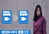 WEBM MP4 変換