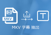 MKV動画から字幕を抽出