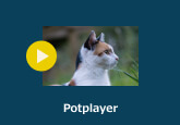 PotPlayer