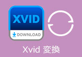 Xvid 変換