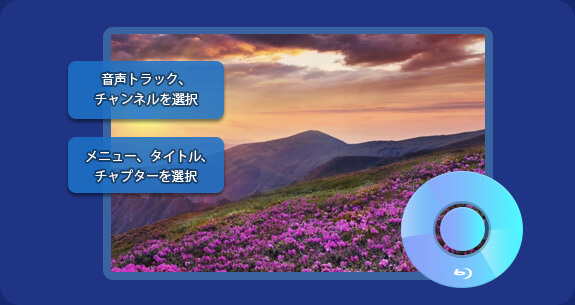 出力字幕と音声トラックを選択